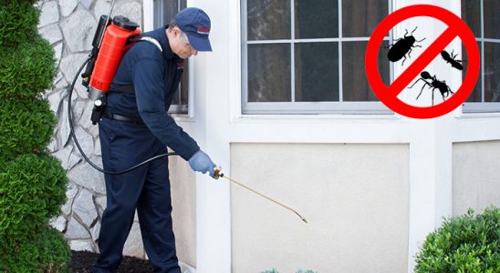 Akyaka Karınca İlaçlama böcek ilaçlama ve haşere kontrolü — ilaclama-tr.com